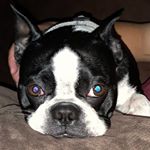 Profile Picture of Jimmy (@jimmy_jones_2018) on Instagram