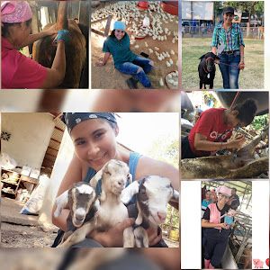 Profile Picture of Stephania Samudio (@stephania.samudio) on Tiktok