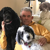 Profile Picture of David Rayome (@drtrader13) on Youtube