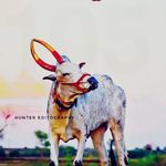 Profile Picture of HAVERI ROCK STAR, 105 (@haveri_rock_star_105) on Instagram