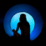 Profile Picture of David Jung (@cloudandbird.studio) on Flickr