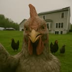 Profile Picture of Donald Hunter (@Donald-Hunter) on Facebook