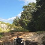 Profile Picture of Wade Wiggins (@wade_0614) on Instagram