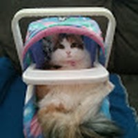 Profile Picture of Lisa Manes (@lisa-manes-3) on Quora