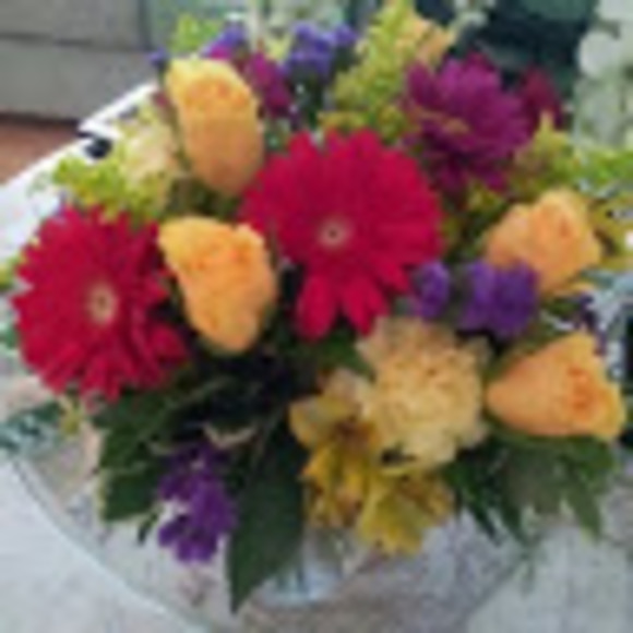 Profile Picture of Wilma Matijasevic (@wmatijasevic) on Poshmark