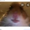 Profile Picture of Quinton wade (@yousus135) on Tiktok