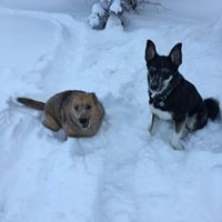 Profile Picture of Janet Murray (@janet-murray-23) on Quora