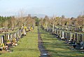 Profile Picture of Roselawn Cemeteryon Wikipedia