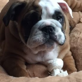 Profile Picture of Taylor Hoss (@hoss1593) on Pinterest