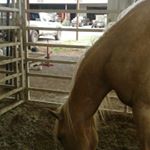 Profile Picture of coltmoore (@coltmoore4751) on Instagram