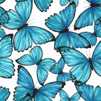 Phoebe Barker - Quora Profile Picture of Phoebe Barker (@phoebe-barker-7) on Quora