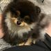 Profile Picture of Jeffrey Tsai (@jeffrey.tsai.5439) on Facebook