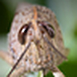 Profile Picture of Benjamin Roussel (@Benjamin Roussel) on Flickr