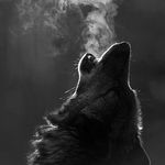 ADAM - Instagram Profile Picture of ADAM (@adam__brother) on Instagram