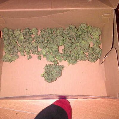 Tyrone Anderson - Twitter Profile Picture of Tyrone Anderson (@@bailey98oneill) on Twitter