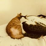 Profile Picture of 我要拆牙套🔥牙套峰 (@feng_02.28) on Instagram