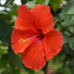 Profile Picture of Shanell Stubbs (@shanell.stubbs) on Facebook