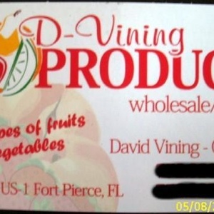 Profile Picture of David Vining (@dviningproduce) on Myspace