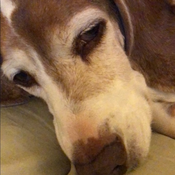 Profile Picture of Josef Slowik (@yahote) on Poshmark