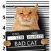 Profile Picture of Cat Robber (@cod.aan.3) on Facebook