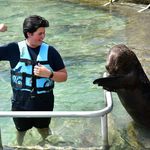 Profile Picture of Paul Velez (@paul_velez_) on Instagram