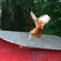 Profile Picture of Michael Yake (@michael-yake-1) on Quora