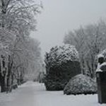 Profile Picture of Milad Chamoun (@chamounmilad) on Instagram