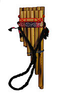 Profile Picture of Pan fluteon Wikipedia