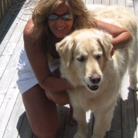 Profile Picture of Lynn Wilson (@lwilson1453) on Pinterest