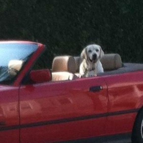 Profile Picture of Pj Thursby (@pjmt) on Poshmark