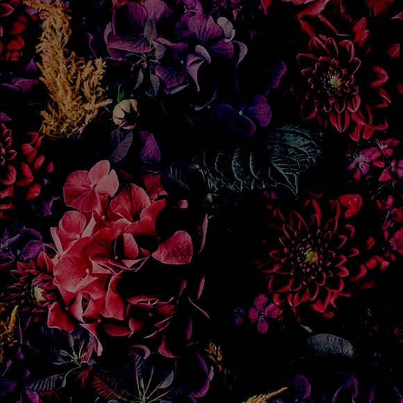 Profile Picture of Fabiola Salazar (@fabisalazar17) on Poshmark