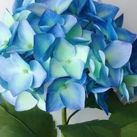 Profile Picture of Candace Duncan (@candace-duncan-16) on Quora