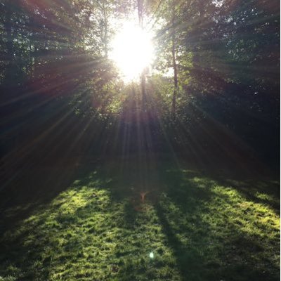 Profile Picture of Alex Travers (@alextravers13) on Twitter