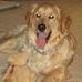 Profile Picture of Phyllis Ragan (@phyllis.ragan.90) on Facebook