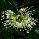 Profile Picture of S. Glenum (@s. glenum) on Flickr