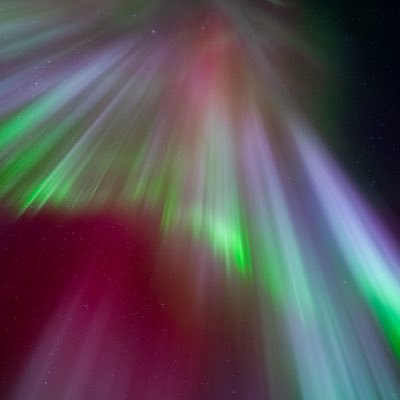 Profile Picture of Alper (@Borsalper) on Twitter