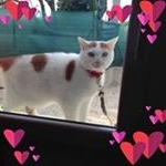 noellecharpentier - Instagram Profile Picture of noellecharpentier (@noellecharpentier6973) on Instagram