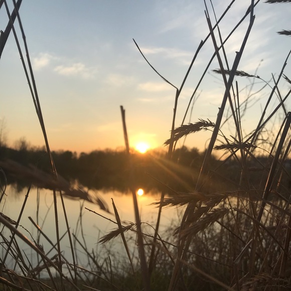 Profile Picture of Sarah Claspell (@sclaspell) on Poshmark