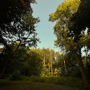 Sean Clemson - Youtube Profile Picture of Sean Clemson (@seanclemson) on Youtube