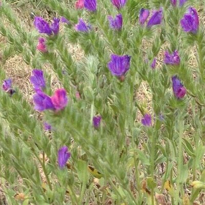 Profile Picture of HIEN DINH (@HIENDINH4) on Twitter