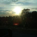 Profile Picture of steven roark (@stevenroark73) on Instagram