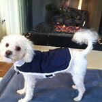 Profile Picture of Cheryl Dougherty Ewing (@cherylhelen48) on Instagram