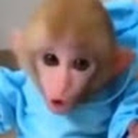 Profile Picture of Keaton Hansen (@keaton-hansen-8) on Quora