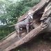 Profile Picture of Craig Fletcher (@craig.fletcher.9) on Facebook