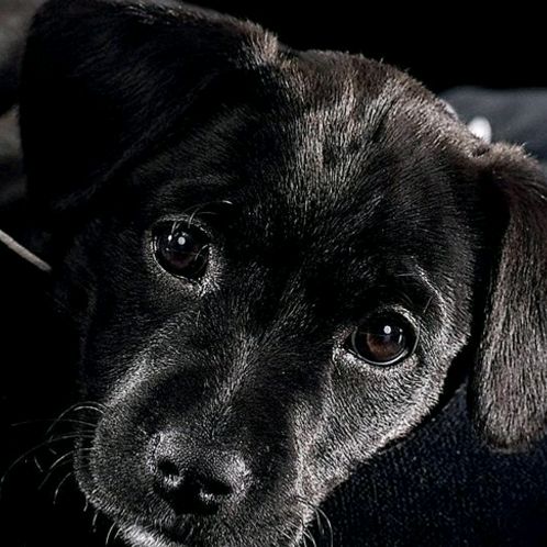 Profile Picture of user2885189876450 (@nicholassquillace0) on Tiktok