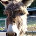 Profile Picture of Thomas Batis (@thomas.batis.9) on Facebook