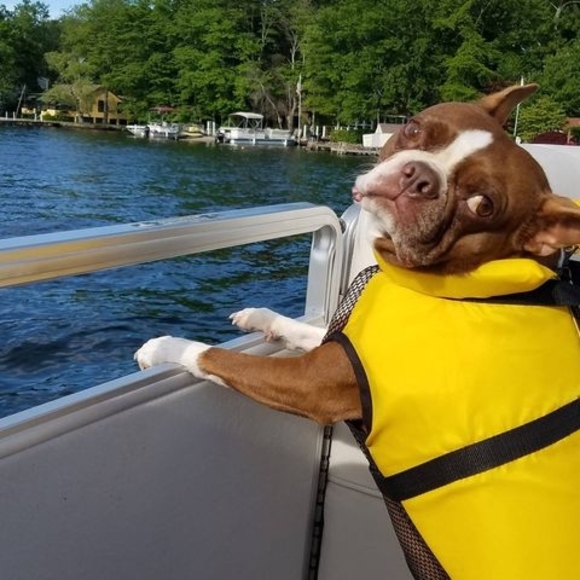 Profile Picture of Kelly Campolito (@kellycampolito) on Poshmark