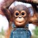 Profile Picture of Carol Patterson (@luckytoaster) on Pinterest