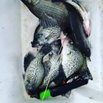 Profile Picture of Gavin Fontenot (@fontenotgavin) on Instagram