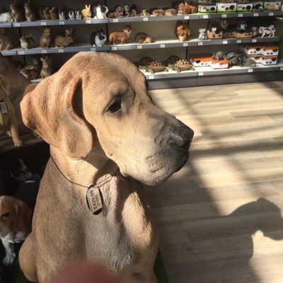 Profile Picture of Harlow Anne hill (@joanne.com) on Tiktok